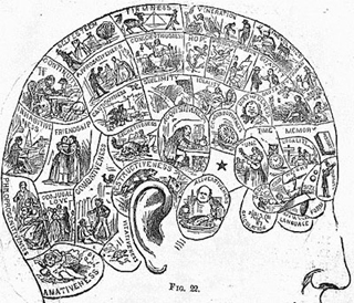 Symbolical head from How to Read Character by Wells. Symbolical head from How to Read Character by Wells.