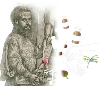 Illustration of a man dissecting a human arm. Clip art drug bottles and herbs float in the air. Illustration of a man dissecting a human arm. Clip art drug bottles and herbs float in the air.