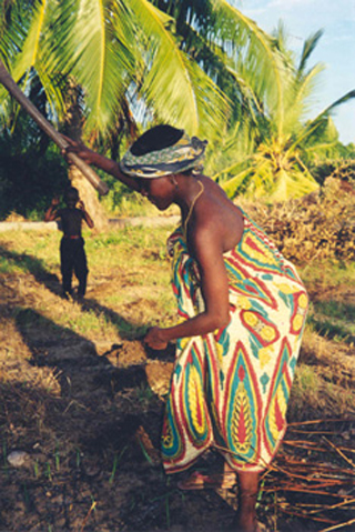 A woman in a brightly-colored dress working under a palm tree. A woman in a brightly-colored dress working under a palm tree.