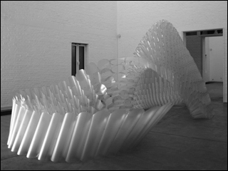 A sculptural piece composed of circular, transparent tubes that create a curved, dome-like canopy. A sculptural piece composed of circular, transparent tubes that create a curved, dome-like canopy.