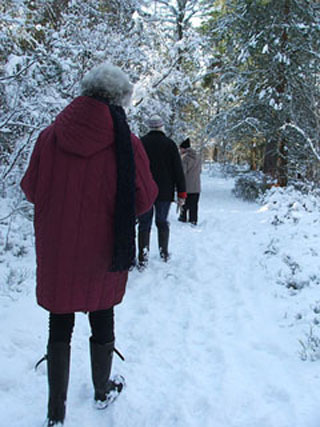 People walking through snow-covered woods. People walking through snow-covered woods.