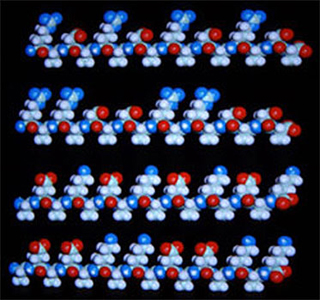 Illustration of four different self-assembling peptides. Illustration of four different self-assembling peptides.