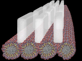 Synthetic molecules assemble into a structure that mirrors bone. Synthetic molecules assemble into a structure that mirrors bone.