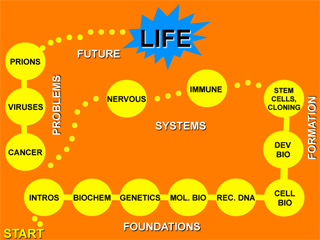 a diagram showing the course topics in yellow circles, arranged as spaces on a game board, on an orange background. a diagram showing the course topics in yellow circles, arranged as spaces on a game board, on an orange background.
