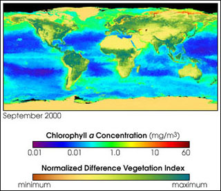 A colorized image of the globe indicating the amount and health of plants on land and phytoplankton in the ocean. A colorized image of the globe indicating the amount and health of plants on land and phytoplankton in the ocean.