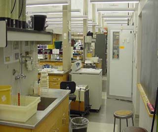 Photo of student laboratory in the Biology Department at MIT. Photo of student laboratory in the Biology Department at MIT.