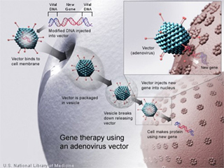 Illustration of a gene undergoing gene therapy. Illustration of a gene undergoing gene therapy.