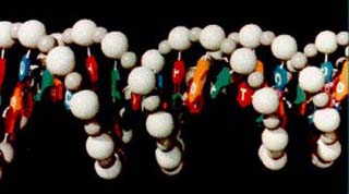 An image of a DNA model sculpture. An image of a DNA model sculpture.