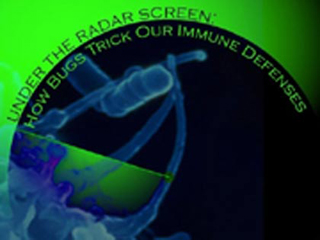 Photo of bugs invading the immune system. Photo of bugs invading the immune system.