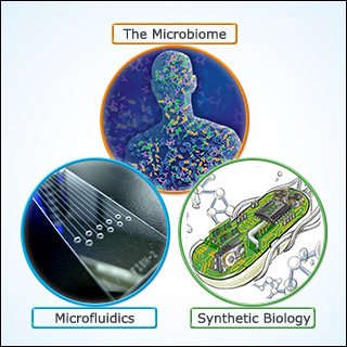 Images depicting the human microbiome, a genetically engineered microbe, and a microfluidics device. Images depicting the human microbiome, a genetically engineered microbe, and a microfluidics device.