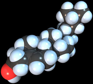 Space-filling model of a cholesterol molecule. Space-filling model of a cholesterol molecule.