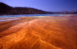 A photograph of a hot spring with areas of bright red, orange, and yellow. A photograph of a hot spring with areas of bright red, orange, and yellow.