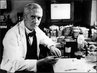 A black and white photo of Alexander Fleming in his laboratory. A black and white photo of Alexander Fleming in his laboratory.