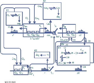 a diagram composed of purple lines, boxes, arrows, and green text, slightly resembling a circuit. a diagram composed of purple lines, boxes, arrows, and green text, slightly resembling a circuit.