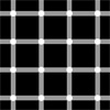 A white grid pattern on a black background, with the illusion of black dots flashing at the intersections of the white grid lines.