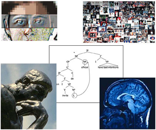 Photo collage of images related to cognition. Photo collage of images related to cognition.