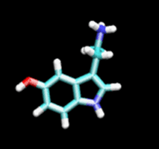 The neurotransmitter serotonin. The neurotransmitter serotonin.