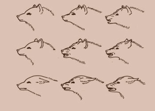 An illustration displaying many expressions of fear and aggression in a dog, from Darwin's The Expression of the Emotions in Animals and Man. An illustration displaying many expressions of fear and aggression in a dog, from Darwin's The Expression of the Emotions in Animals and Man.