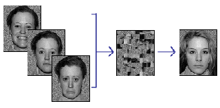 A series of photos including three photos of the same person with different facial expressions in each; and a photo of a different person in both a distorted and non-distorted state. A series of photos including three photos of the same person with different facial expressions in each; and a photo of a different person in both a distorted and non-distorted state.
