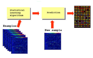 Diagram showing a method of predicting the type of cancer from DNA chips. Diagram showing a method of predicting the type of cancer from DNA chips.