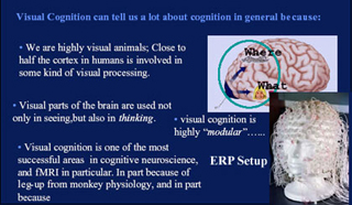 Image of what-where visual processing pathways, and an evoked response potential (ERP) setup. Image of what-where visual processing pathways, and an evoked response potential (ERP) setup.