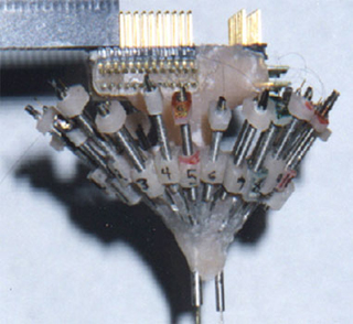 Photograph of a tetrode array. Photograph of a tetrode array.