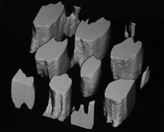 Three-dimensional view of a polystyrene domain. Three-dimensional view of a polystyrene domain.