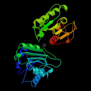 Structural image of protein strucure from PDB database. Structural image of protein strucure from PDB database.