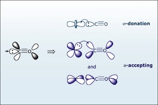 Diagram demonstrating that carbon monoxide is a sigma-donating and pi-accepting ligand. Diagram demonstrating that carbon monoxide is a sigma-donating and pi-accepting ligand.