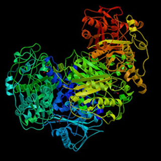 Structural image of protein complex from PDB database. Structural image of protein complex from PDB database.