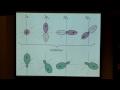 Lecture 15: Valence Bond Theory and Hybridization Lecture 15: Valence Bond Theory and Hybridization