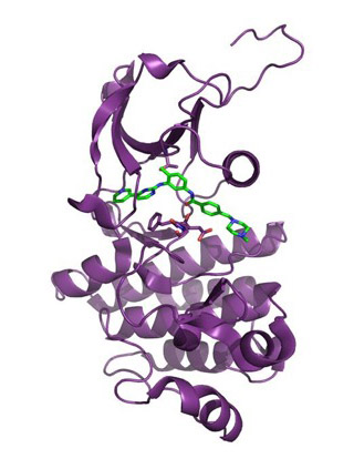 Gleevec molecule inside purple ribbons of enzyme. Gleevec molecule inside purple ribbons of enzyme.