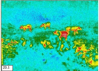 Thermal image using colors to indicate temperature. Thermal image using colors to indicate temperature.