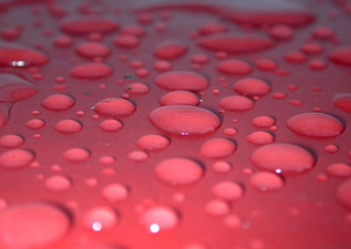 Water beading on a waxed surface. Water beading on a waxed surface.