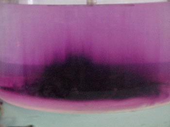 lab 12 view 4