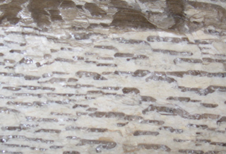 Graphic granite. Graphic granite.