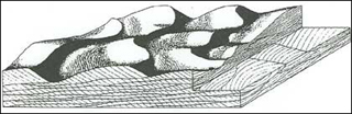 Cross-stratification of 3-D dunes in unidirectional flows. Cross-stratification of 3-D dunes in unidirectional flows.