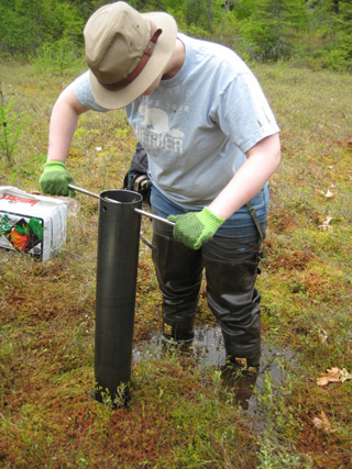 A student standing in a bog with a large metal cylinder used for taking core samples. A student standing in a bog with a large metal cylinder used for taking core samples.