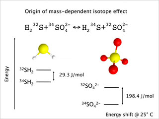 Figure showing isotopes. Figure showing isotopes.
