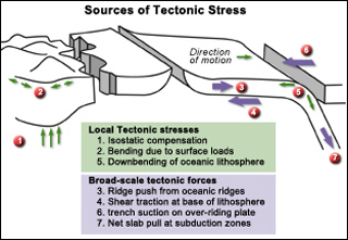 Diagram of tectonic plates showing possible sources of stress. Diagram of tectonic plates showing possible sources of stress.