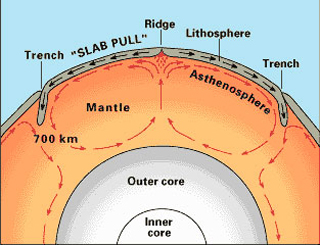 An illustration of the of how convections in the Earth's crust drive plate tectonics. An illustration of the of how convections in the Earth's crust drive plate tectonics.