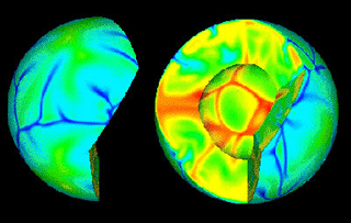 TERRA mantle convection model. TERRA mantle convection model.