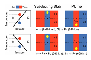 The Clapeyron slopes of mantle phase boundaries and mantle convection. The Clapeyron slopes of mantle phase boundaries and mantle convection.