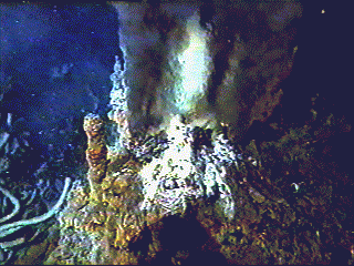Animation of heated water spewing from a hydrothermal vent. Animation of heated water spewing from a hydrothermal vent.