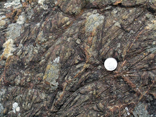 Coin against rocks. Coin against rocks.