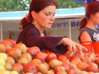 A woman selects apples at a fruit market. A woman selects apples at a fruit market.