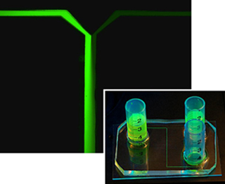 Microfluidic, laminar flow chamber. Microfluidic, laminar flow chamber.