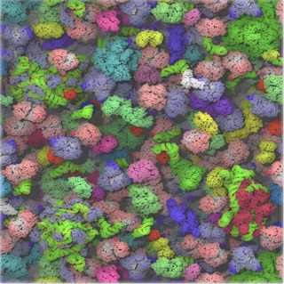 A colorful rendering of the cytoplasm model. A colorful rendering of the cytoplasm model.