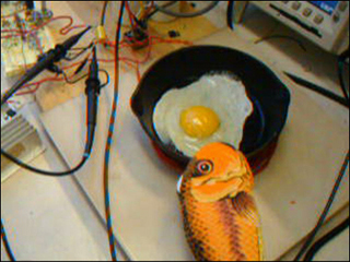 Photo of an egg frying in a pan. Photo of an egg frying in a pan.