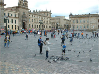 A photo of people and pigeons in the plaza. A photo of people and pigeons in the plaza.